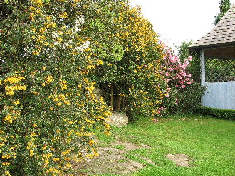 IMG 0077