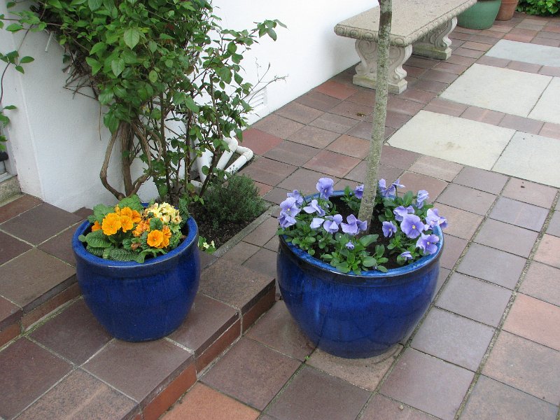 IMG 0110
